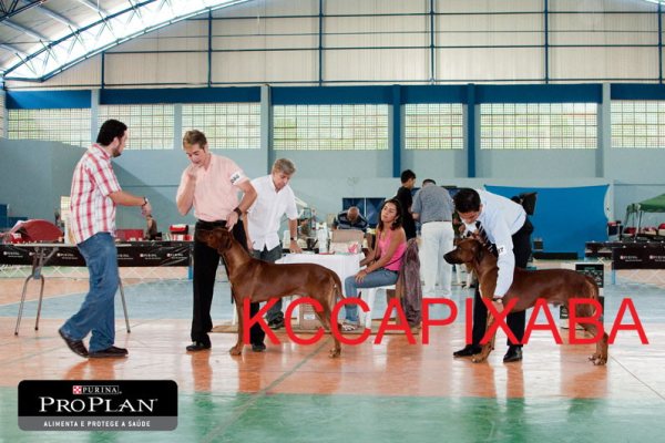 Clique sobre a foto para fechar